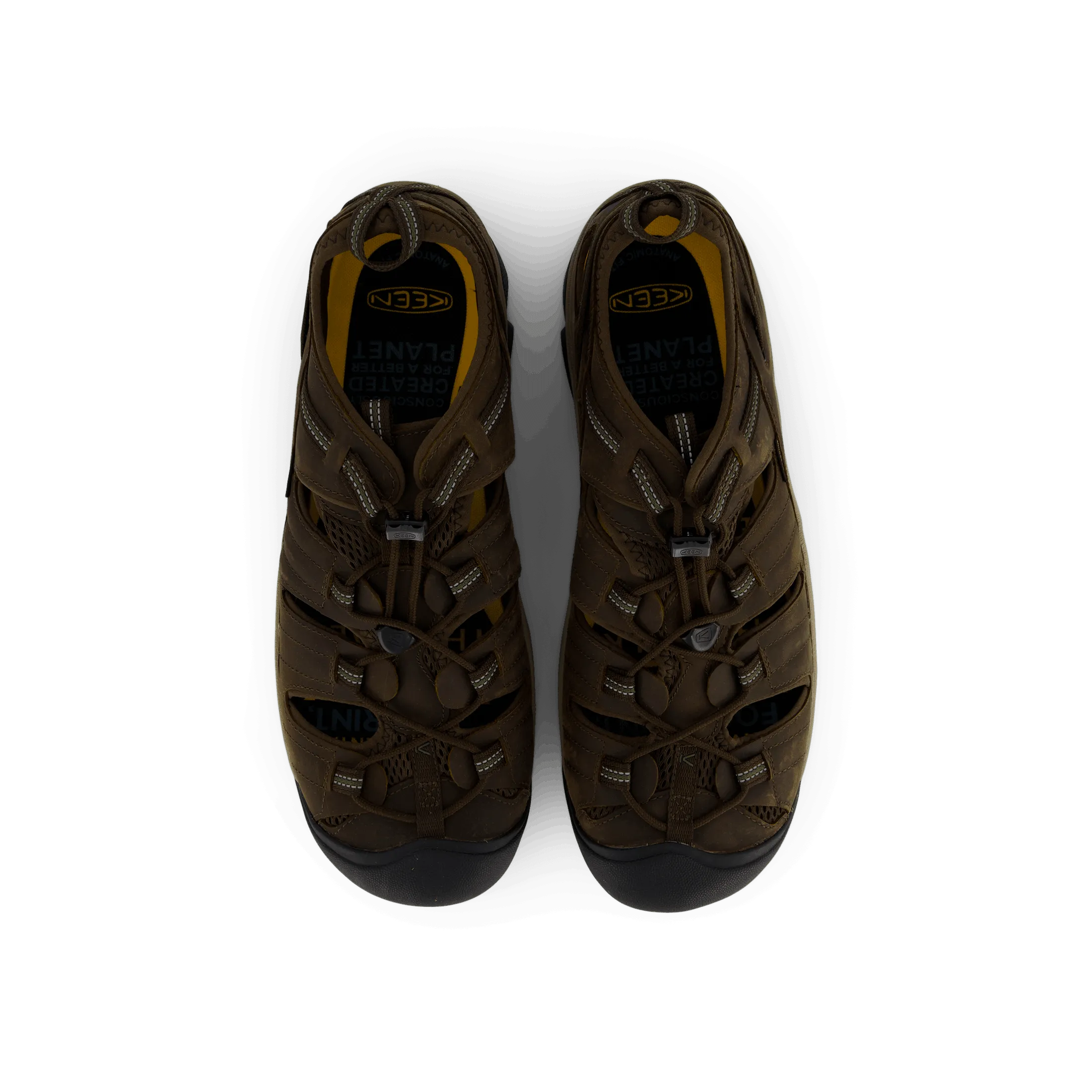 Arroyo II Slate Black / Bronze Green